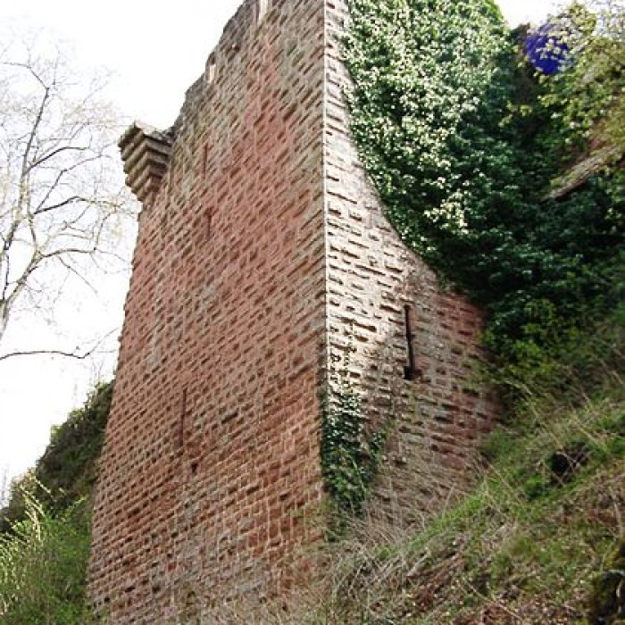 Photo de Ruines du château de Falkenstein