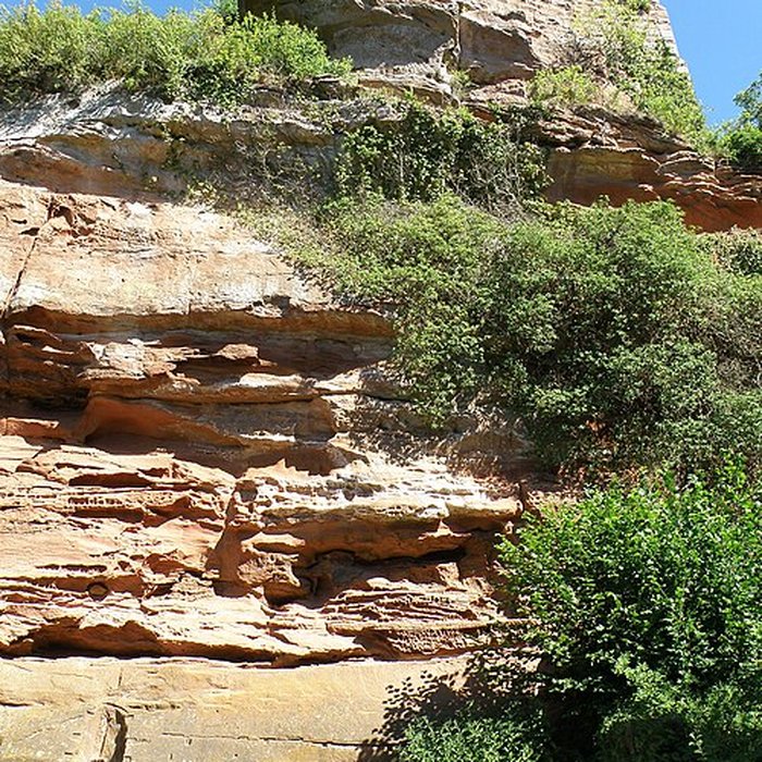 Photo de Ruines du château de Falkenstein