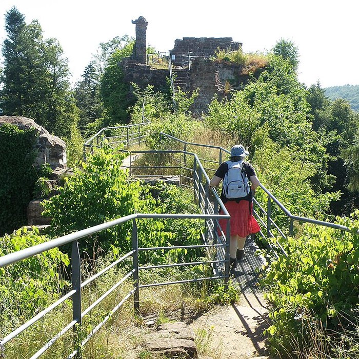 Photo de Ruines du château de Falkenstein