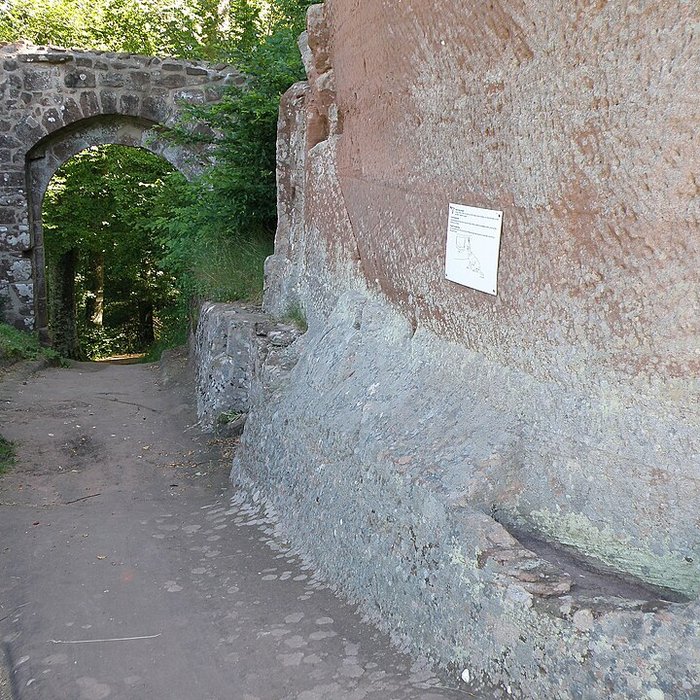 Photo de Ruines du château de Falkenstein