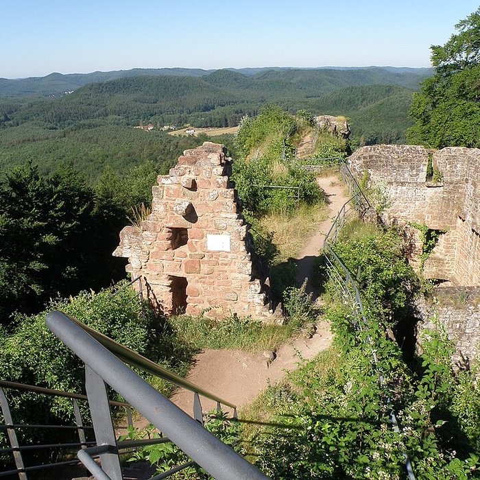 Photo de Ruines du château de Falkenstein