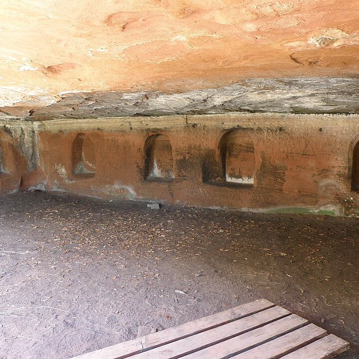 Photo de Ruines du château de Falkenstein