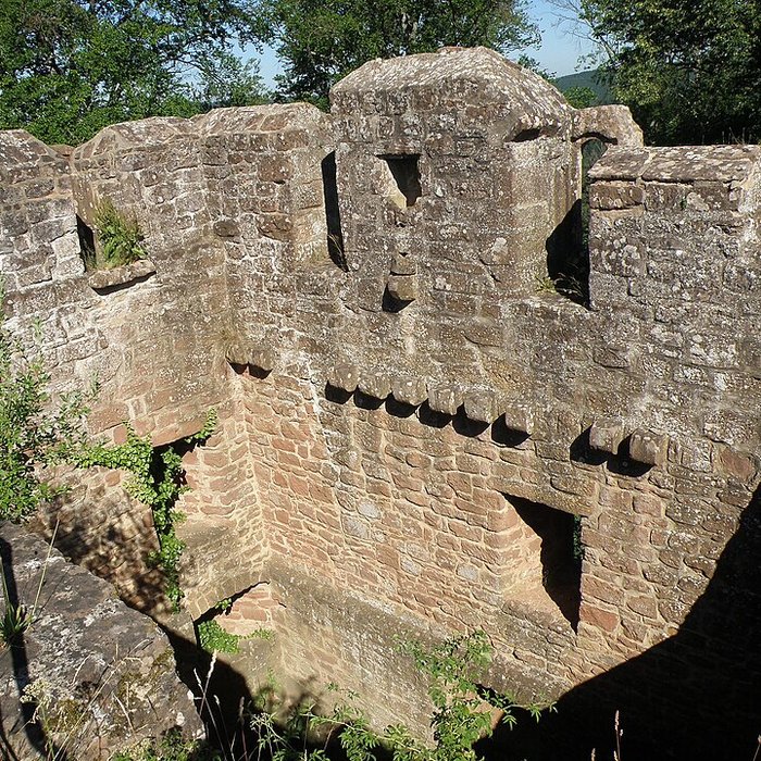 Photo de Ruines du château de Falkenstein