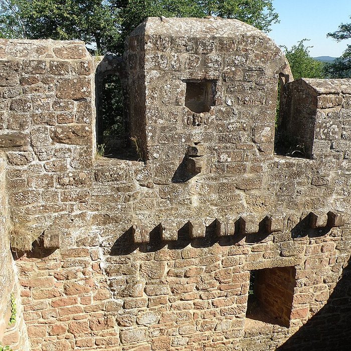 Photo de Ruines du château de Falkenstein