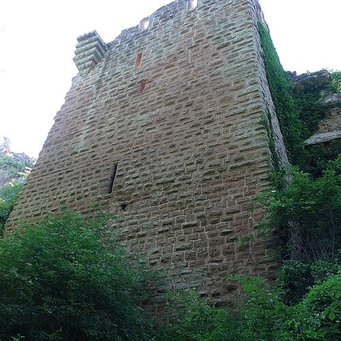 Photo de Ruines du château de Falkenstein