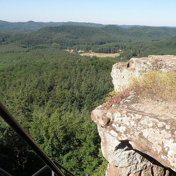 Ruines du château de Falkenstein