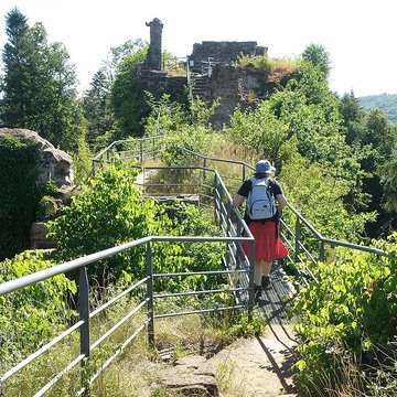 Ruines du château de Falkenstein