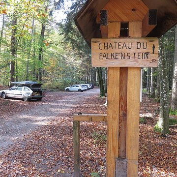 Ruines du château de Falkenstein