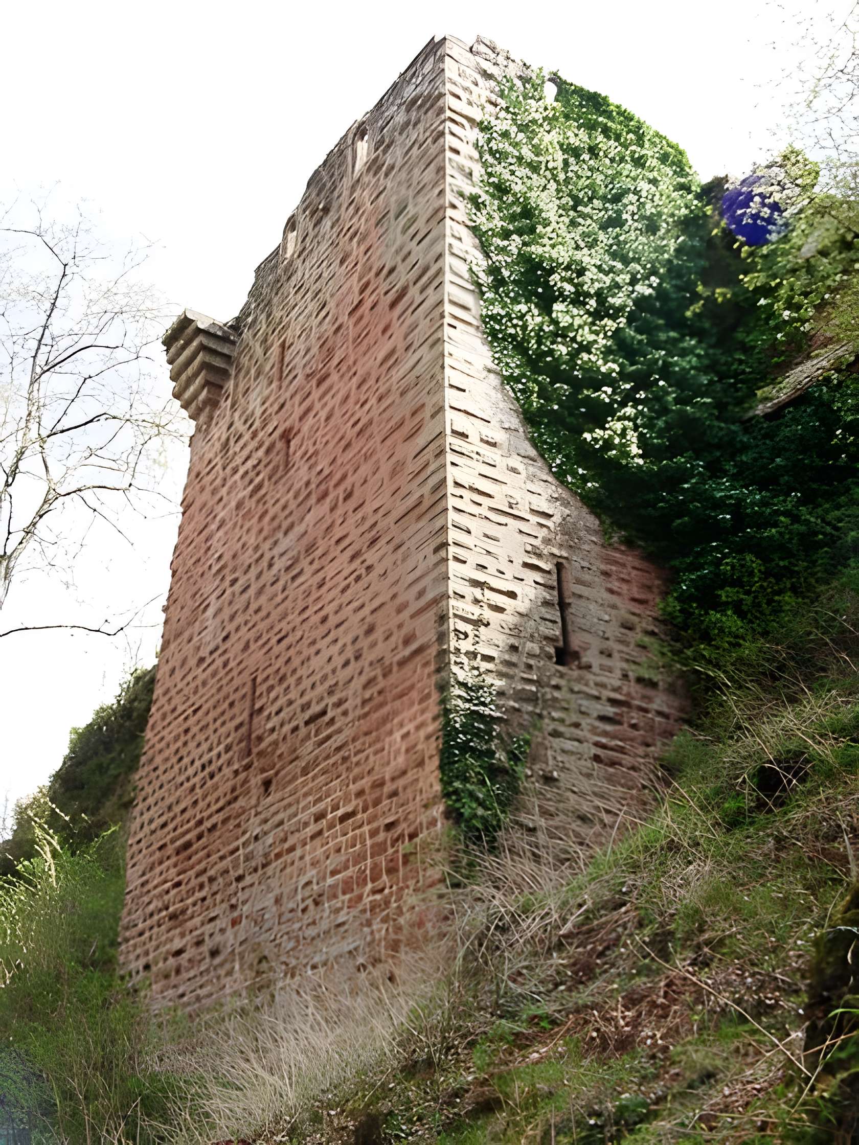 Château du Falkenstein 