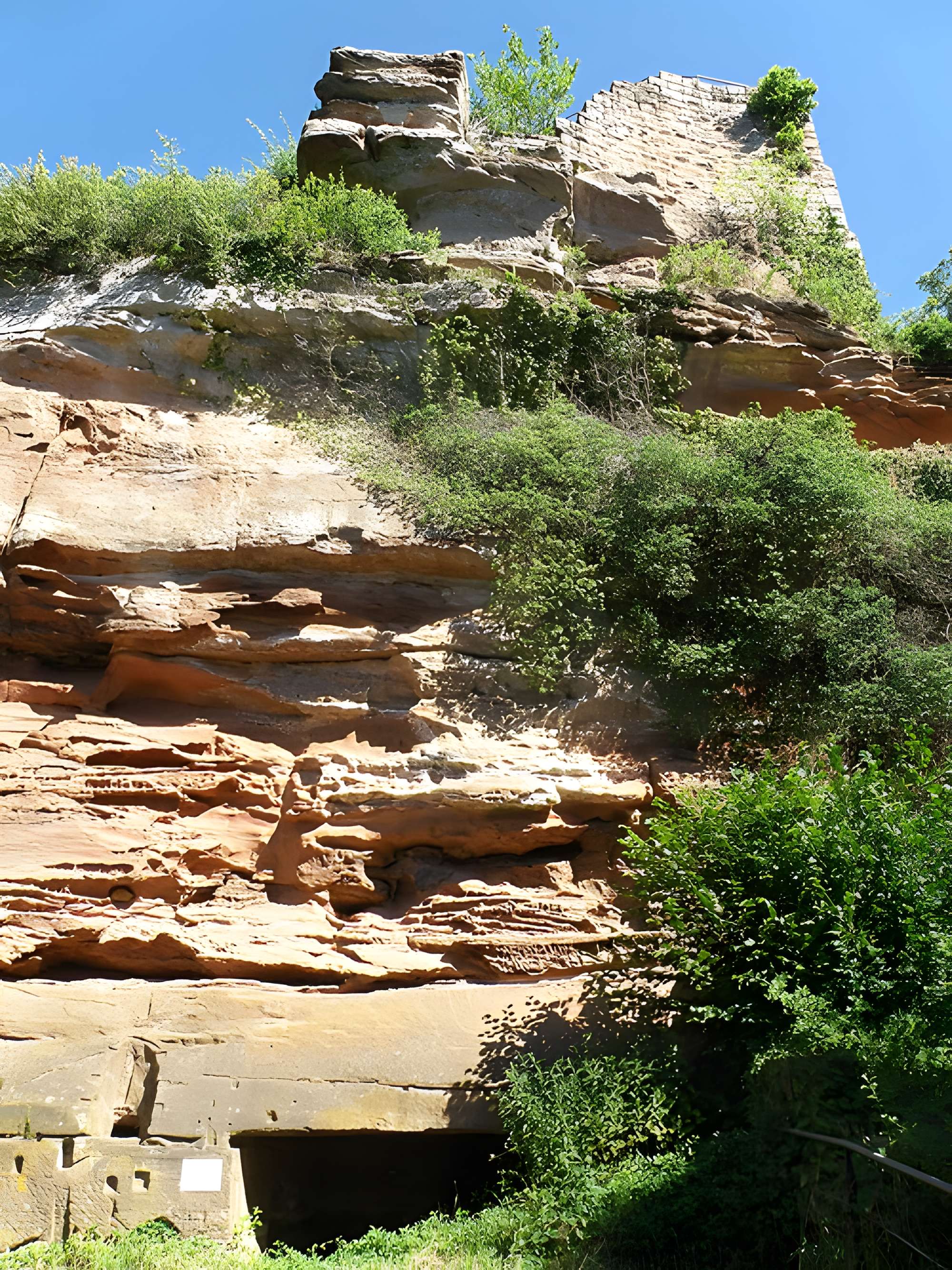 Ruines du château de Falkenstein