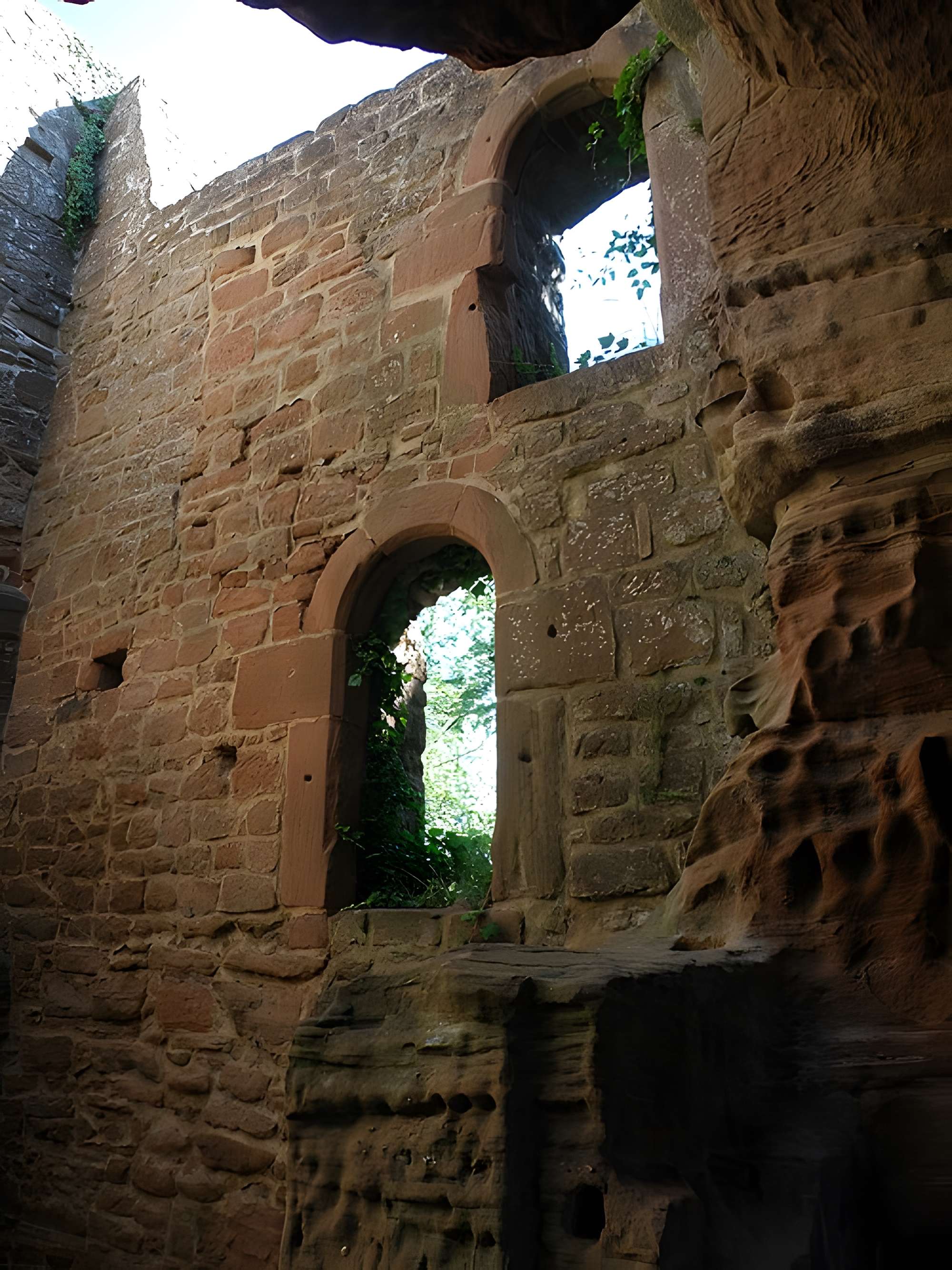 Ruines du château de Falkenstein
