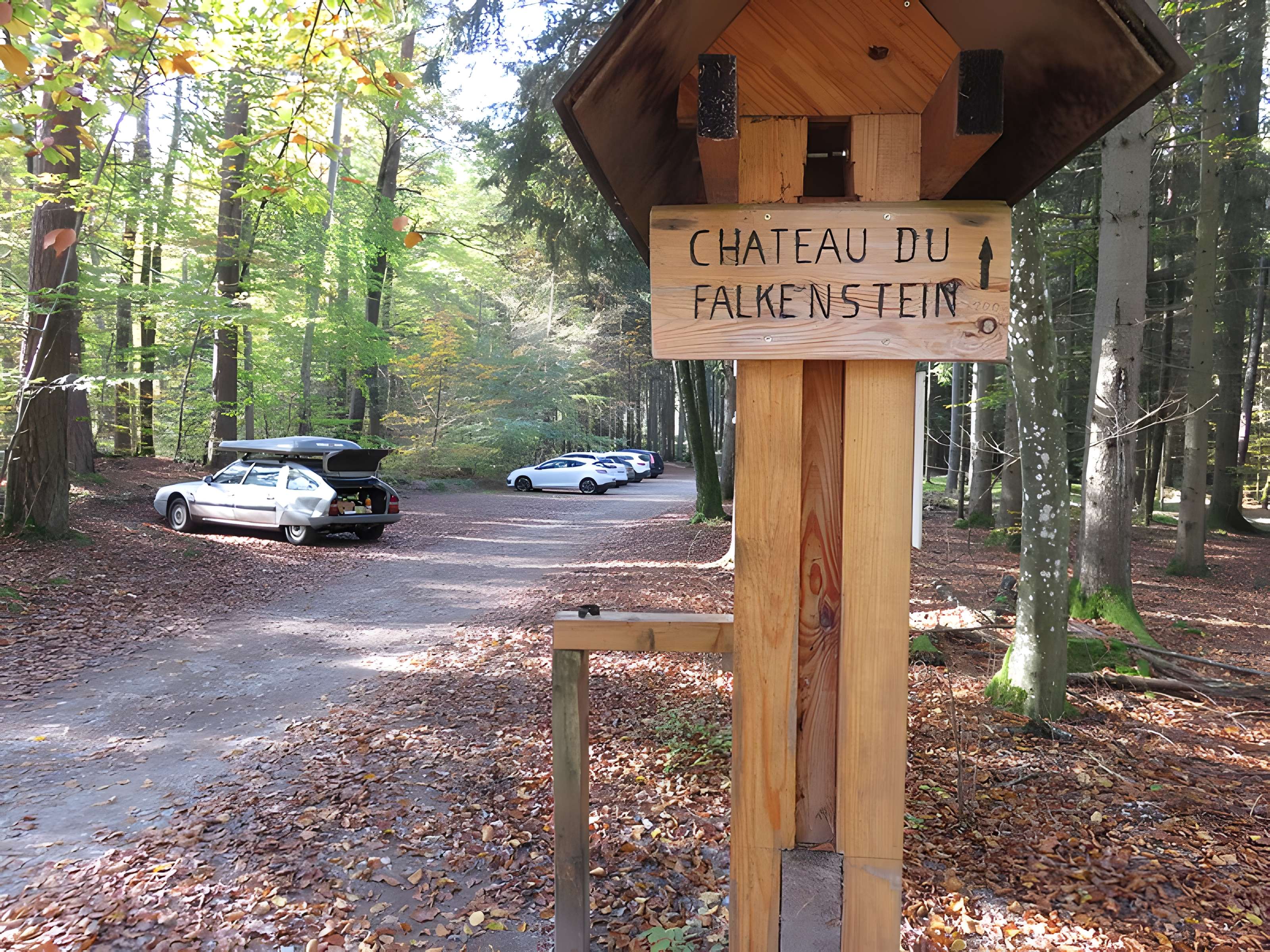 Ruines du château de Falkenstein