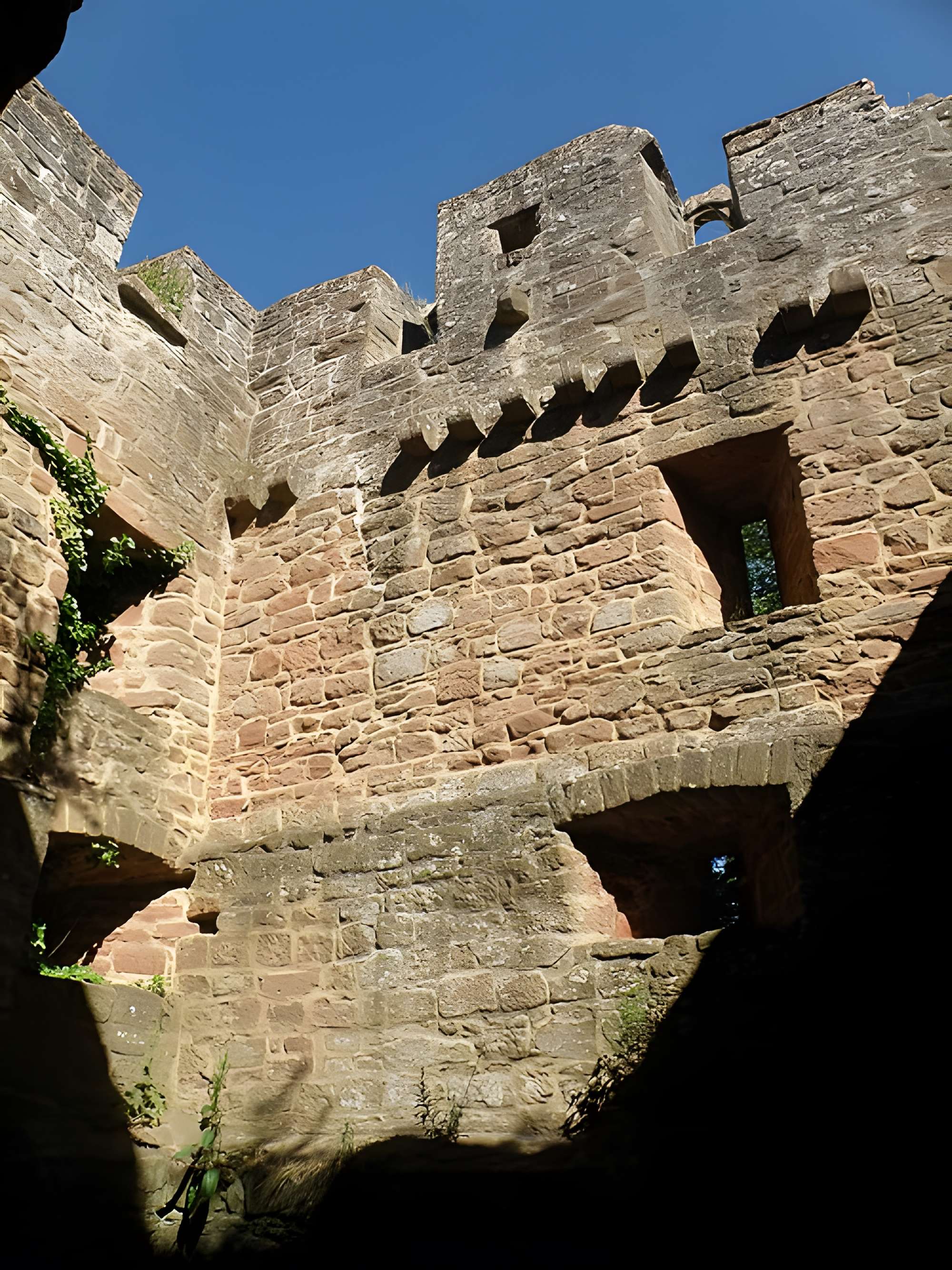 Ruines du château de Falkenstein