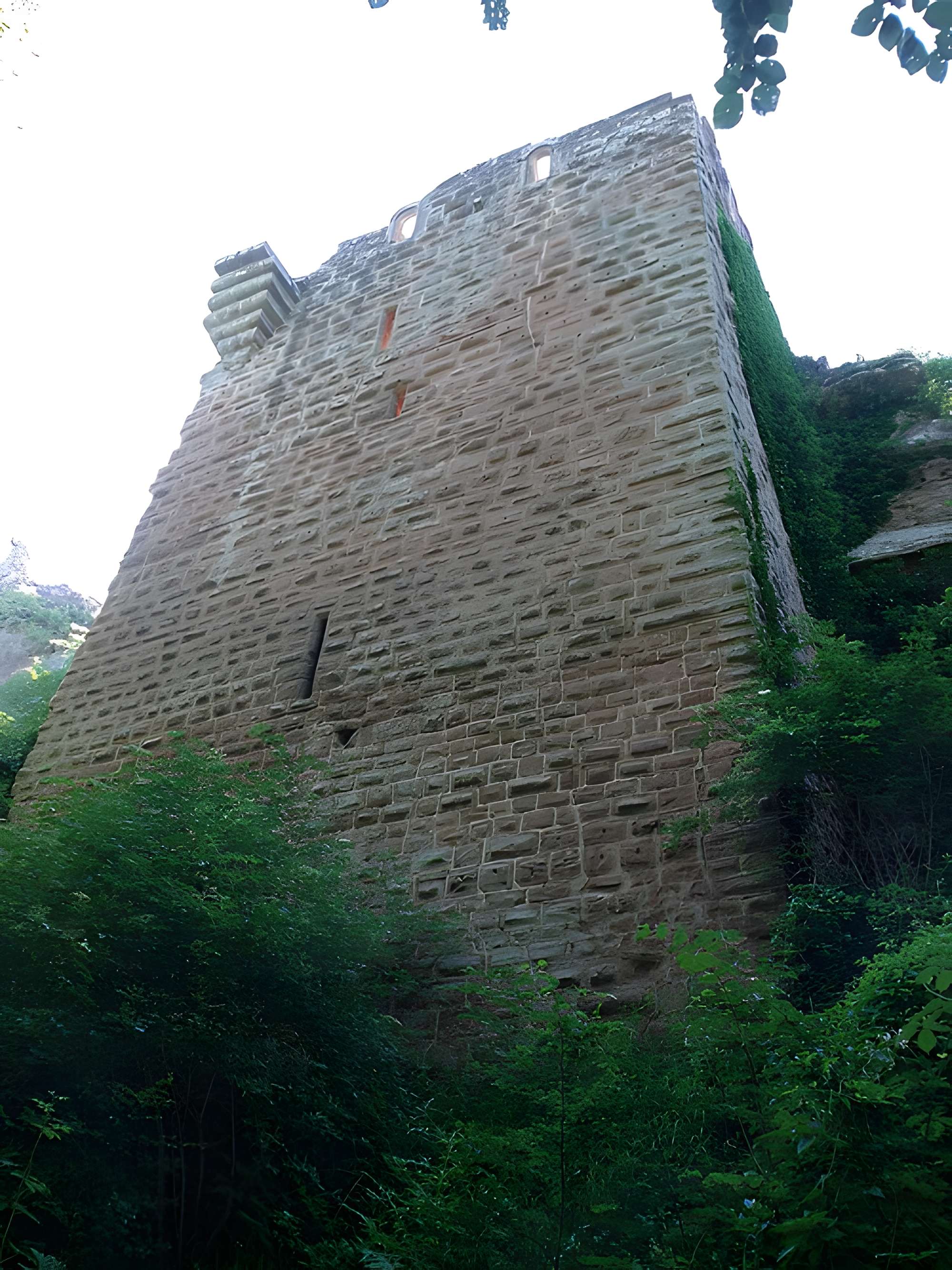 Ruines du château de Falkenstein