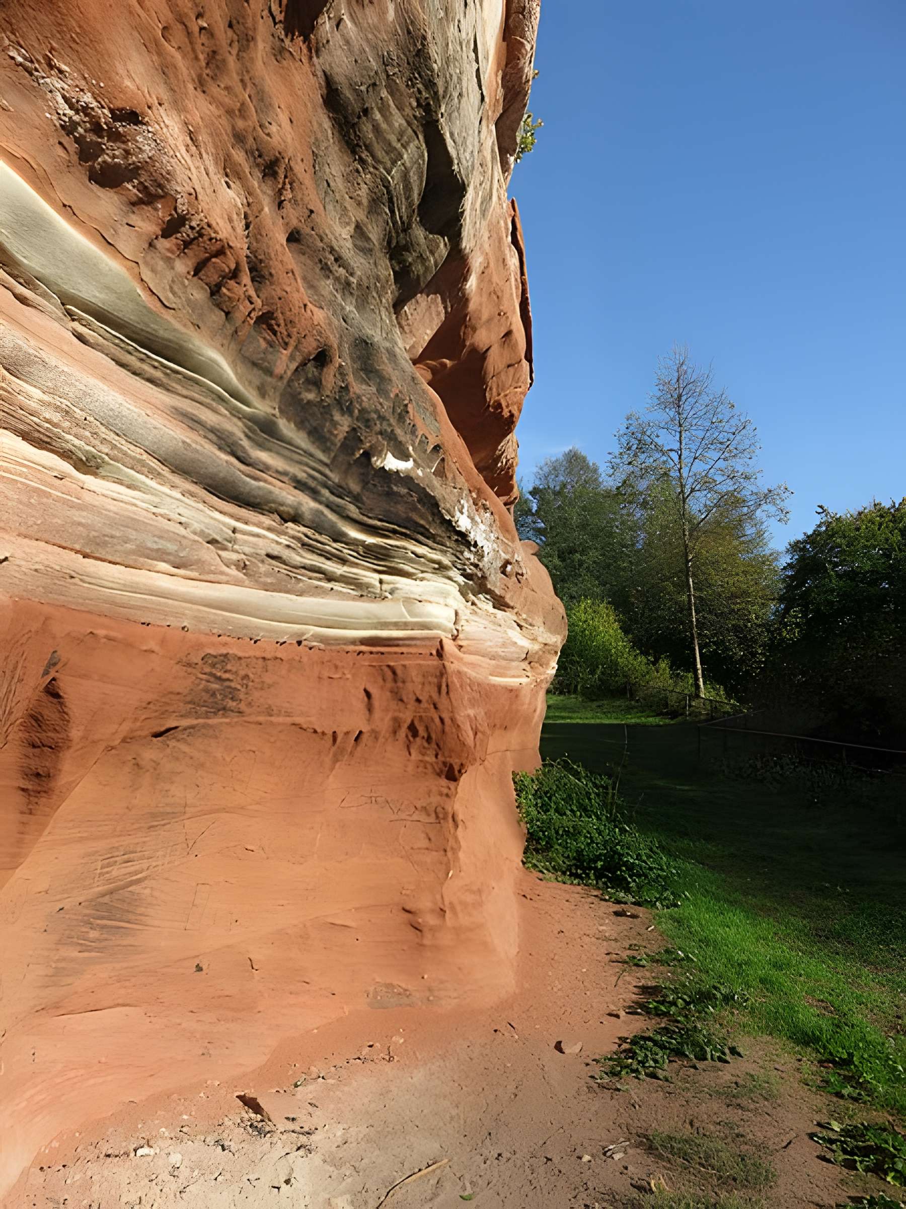 Ruines du château de Falkenstein