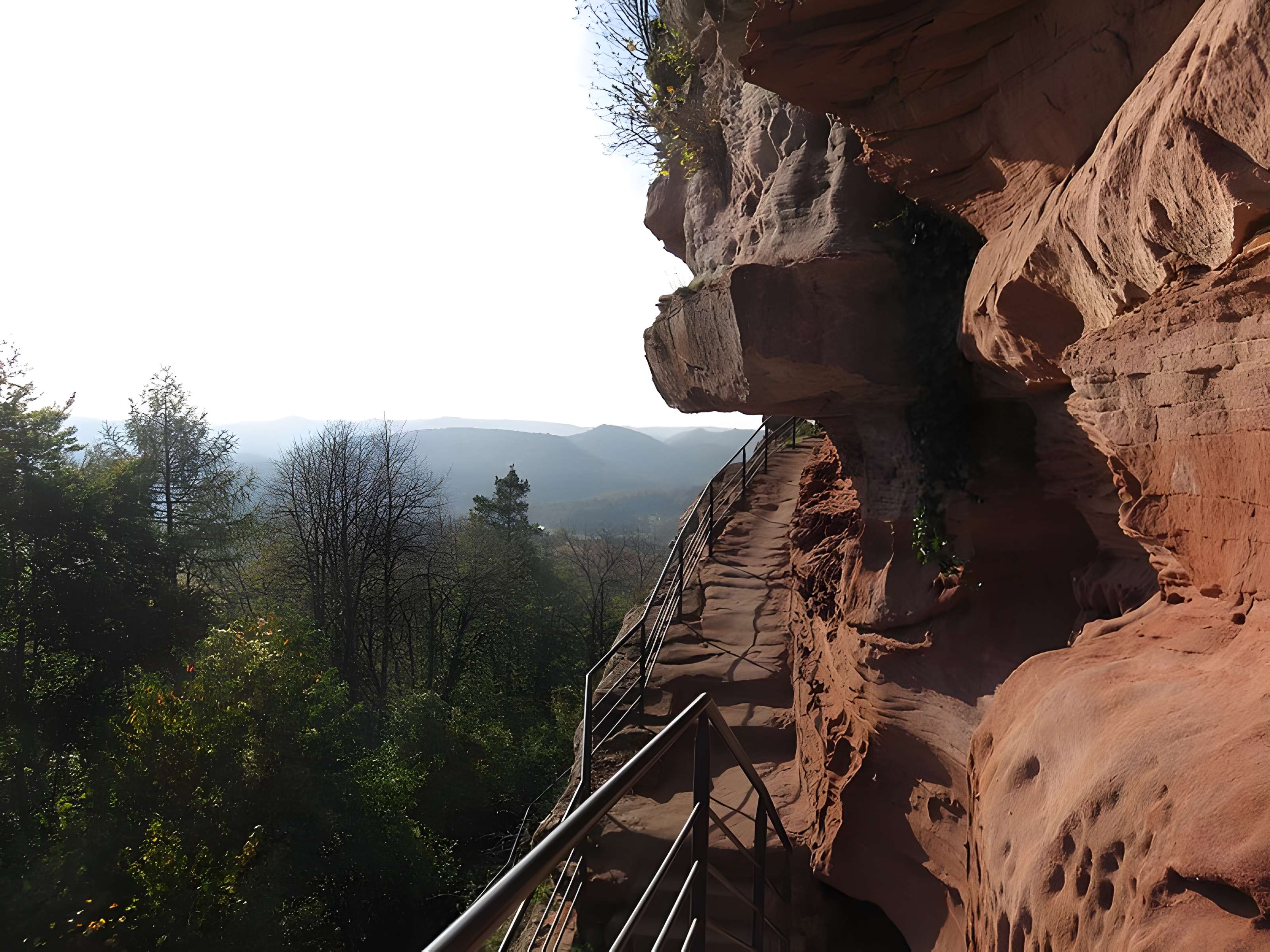 Ruines du château de Falkenstein