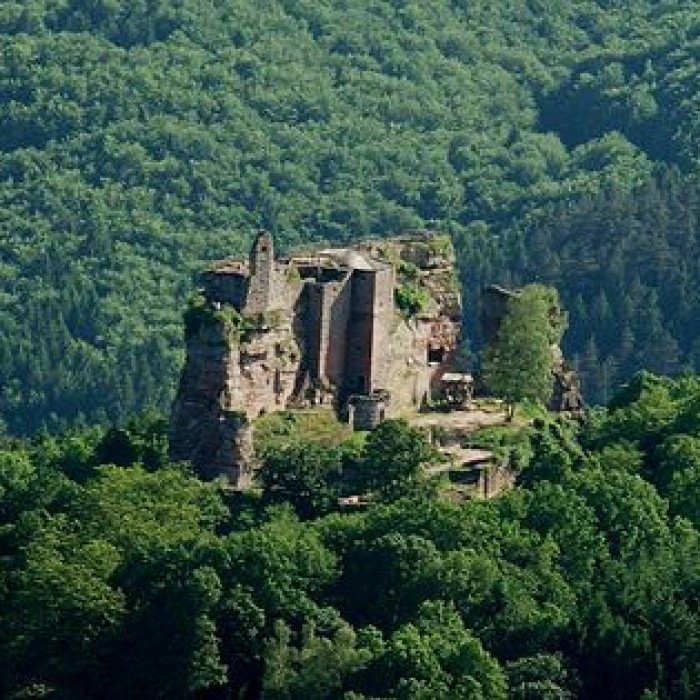 Photo de Château du Fleckenstein