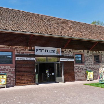 Château du Fleckenstein