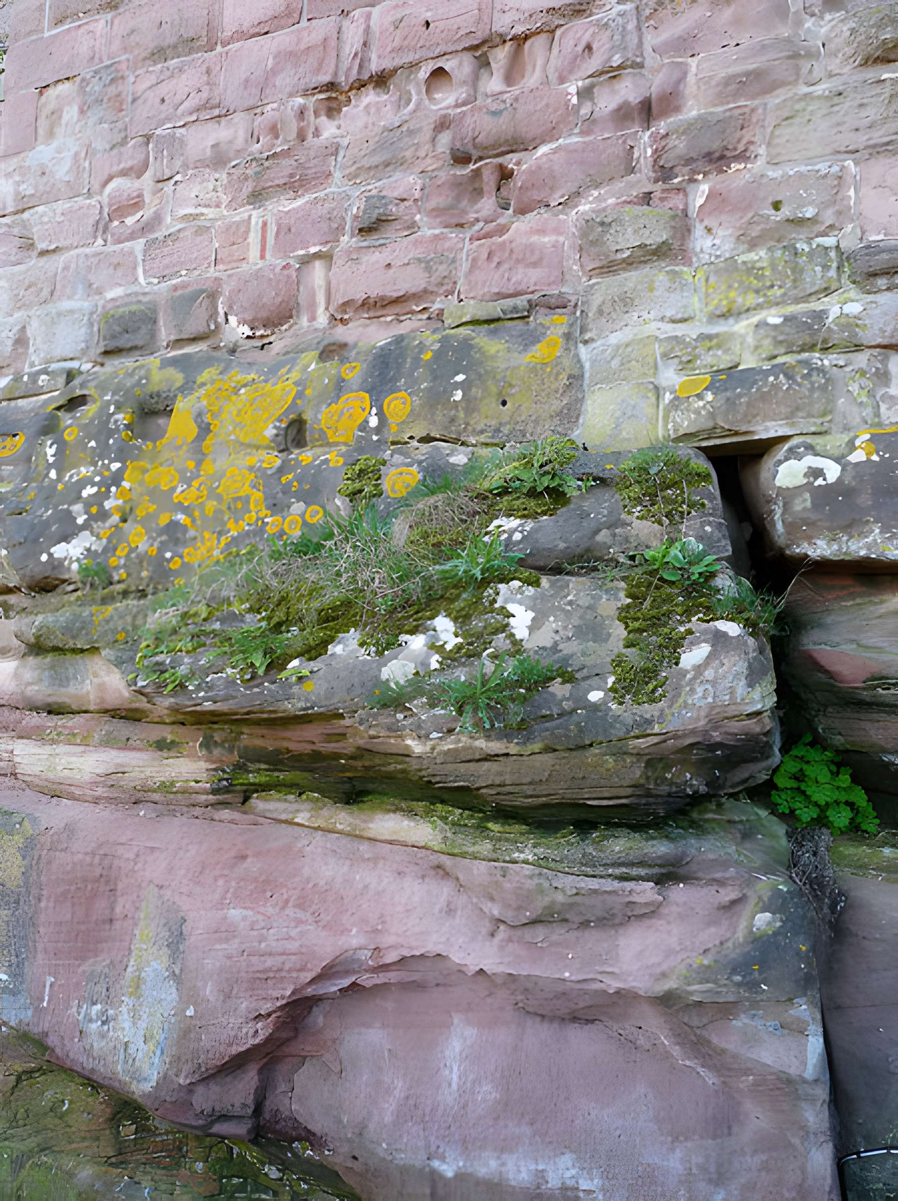 Château du Fleckenstein