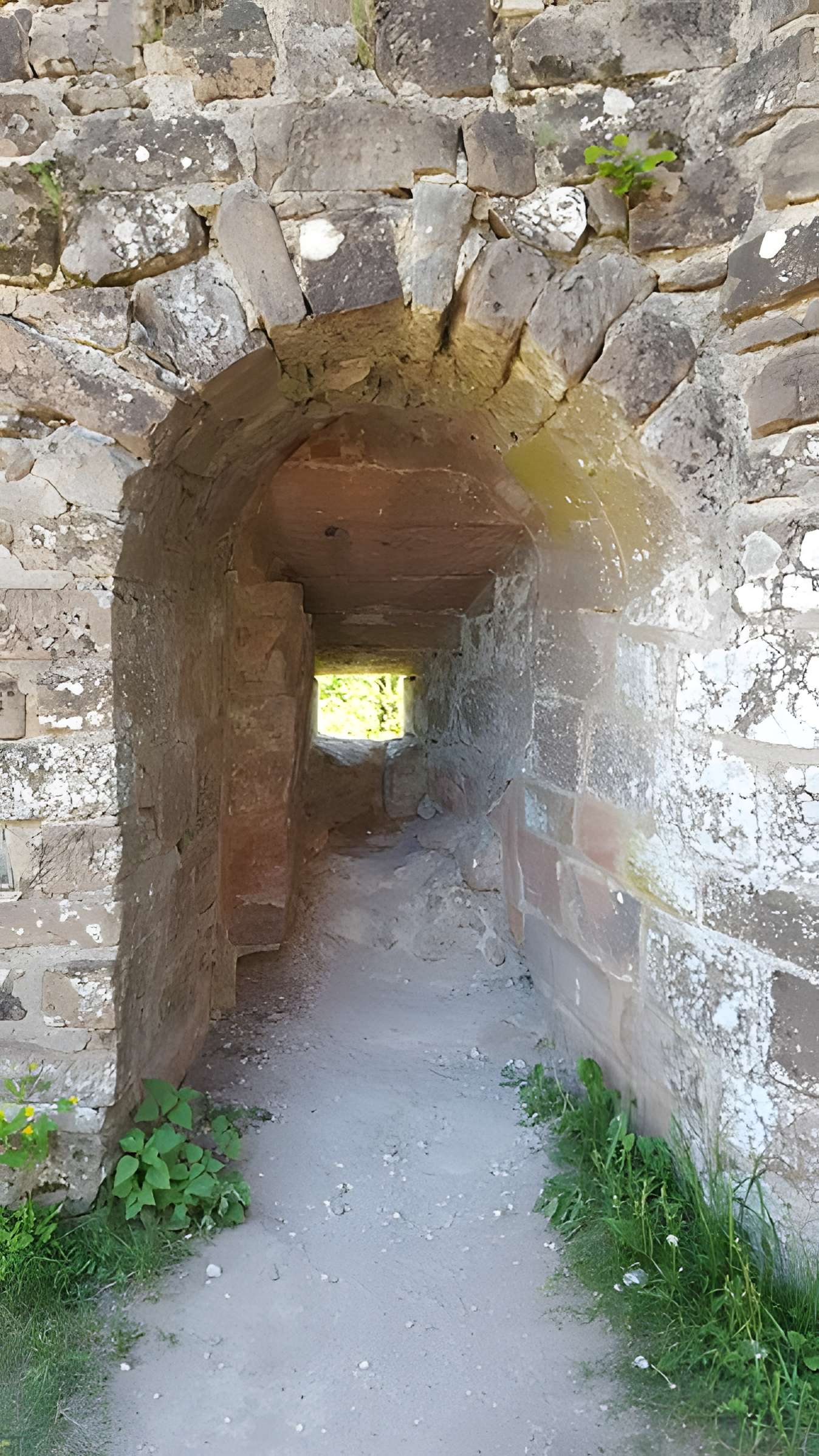 Château du Fleckenstein