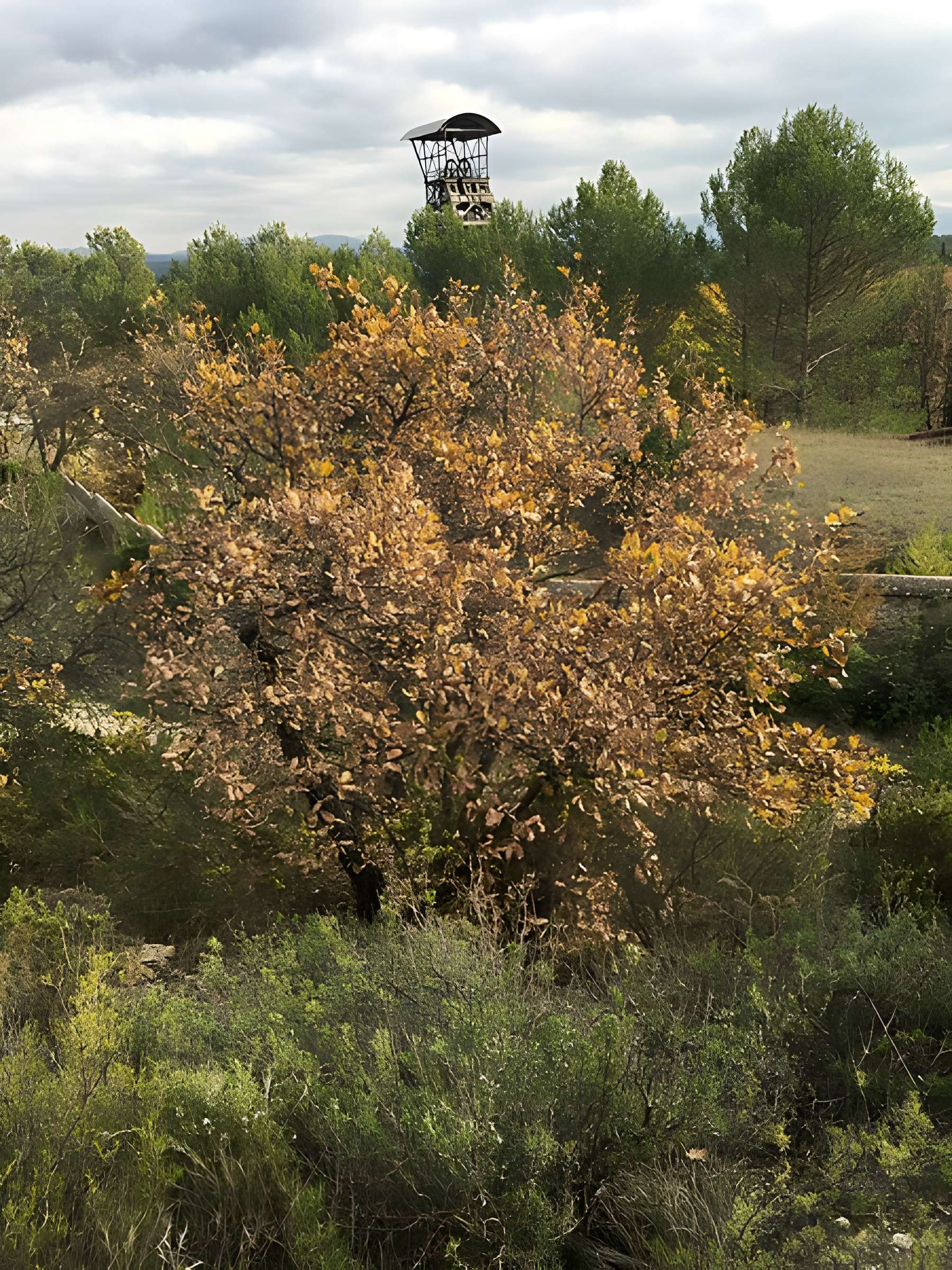 Puits Hély d'Oissel à Gréasque