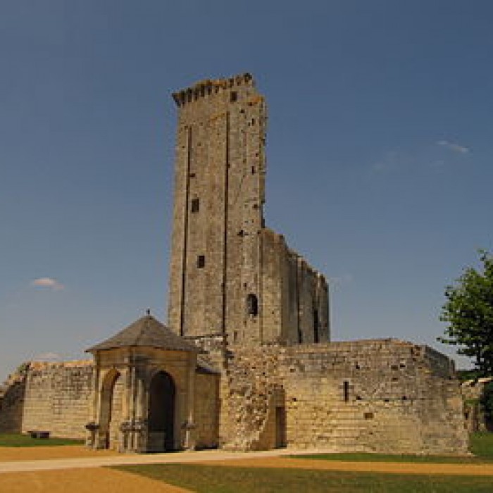 Photo de Château du Grand-Pressigny