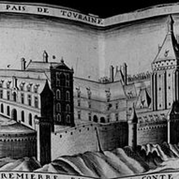 Photo de Château du Grand-Pressigny