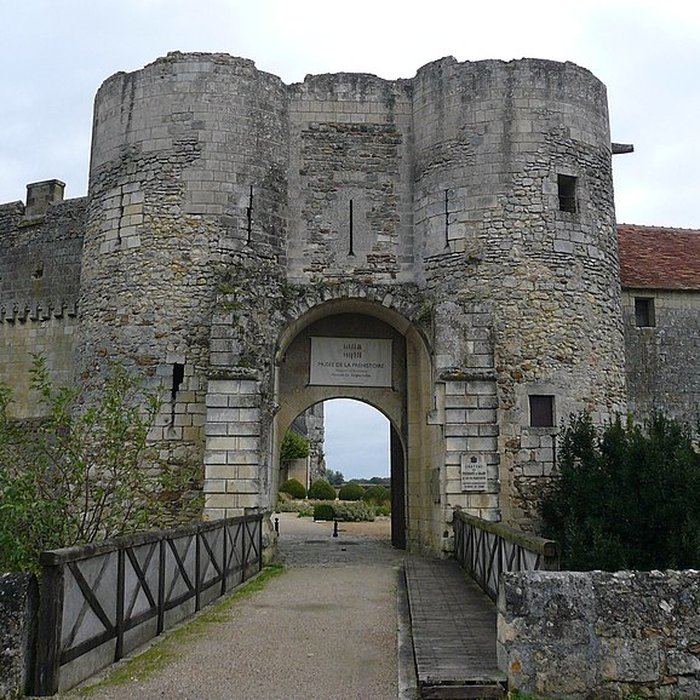 Photo de Château du Grand-Pressigny