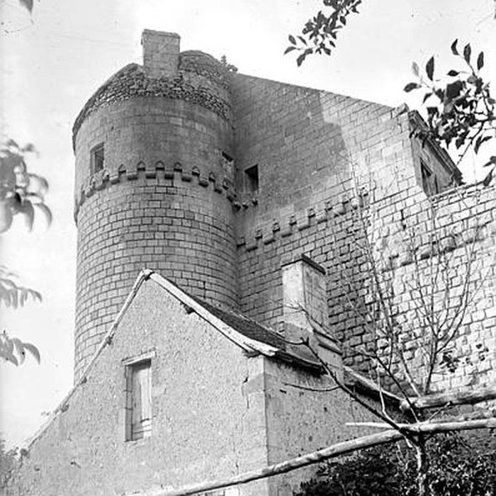 Photo de Château du Grand-Pressigny