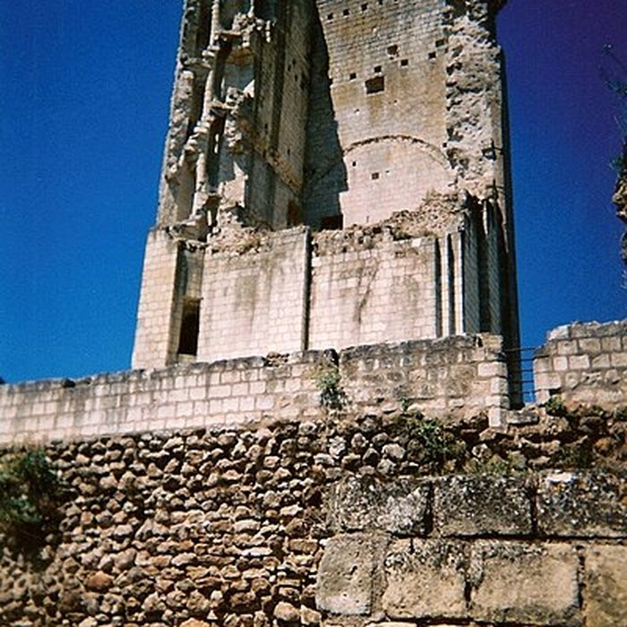 Photo de Château du Grand-Pressigny