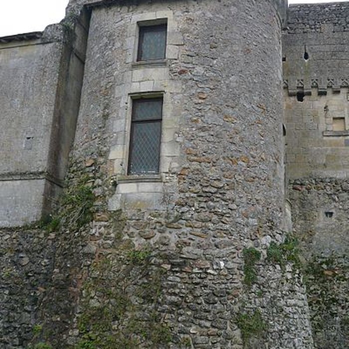 Photo de Château du Grand-Pressigny