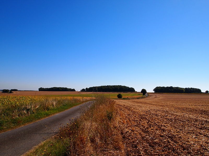 Photo de Quatre Tumulis de Tusson
