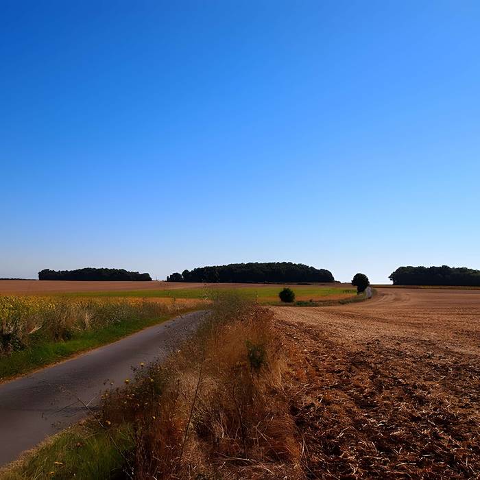 Photo de Quatre Tumulis de Tusson
