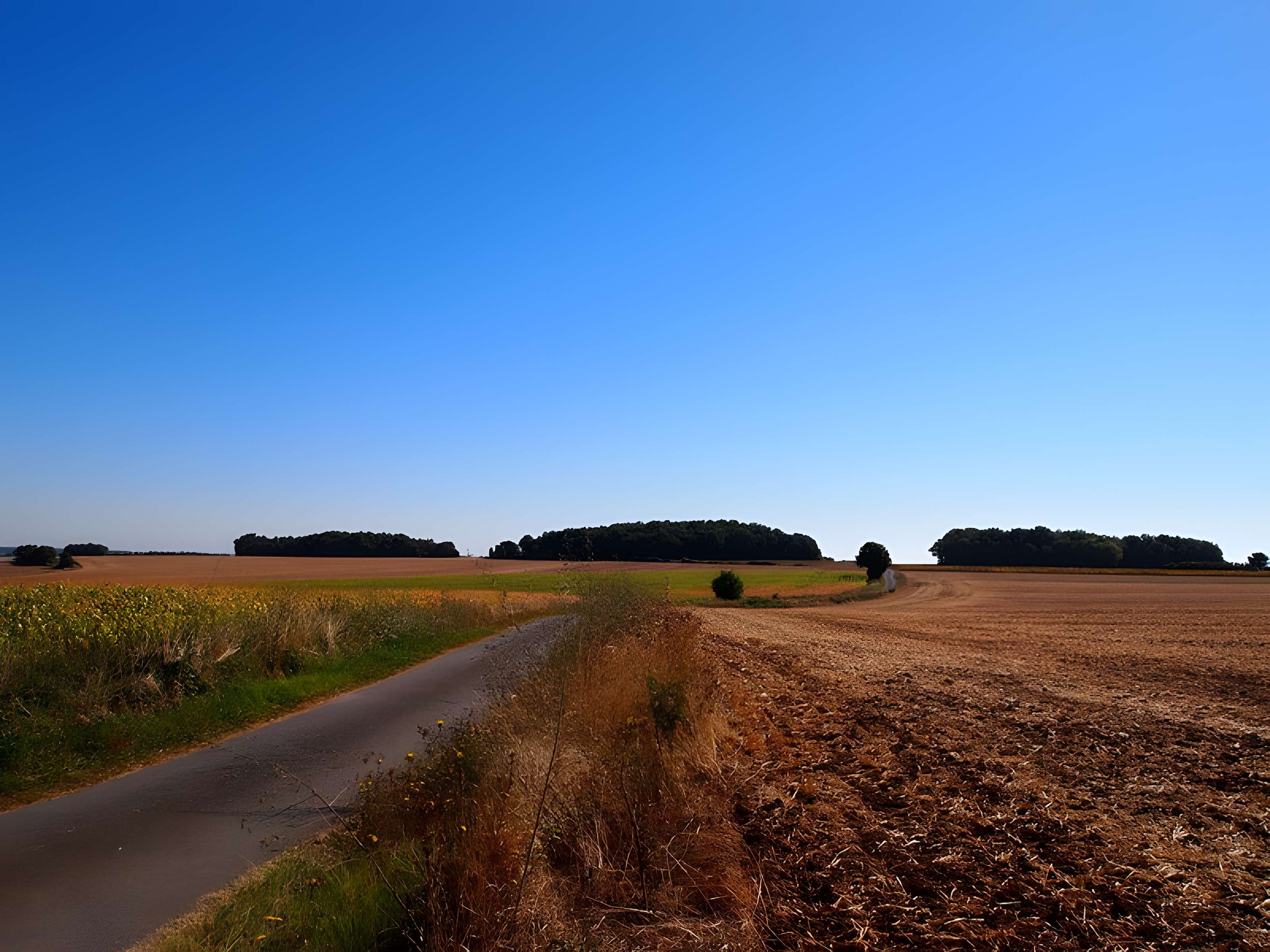 Quatre Tumulis de Tusson 