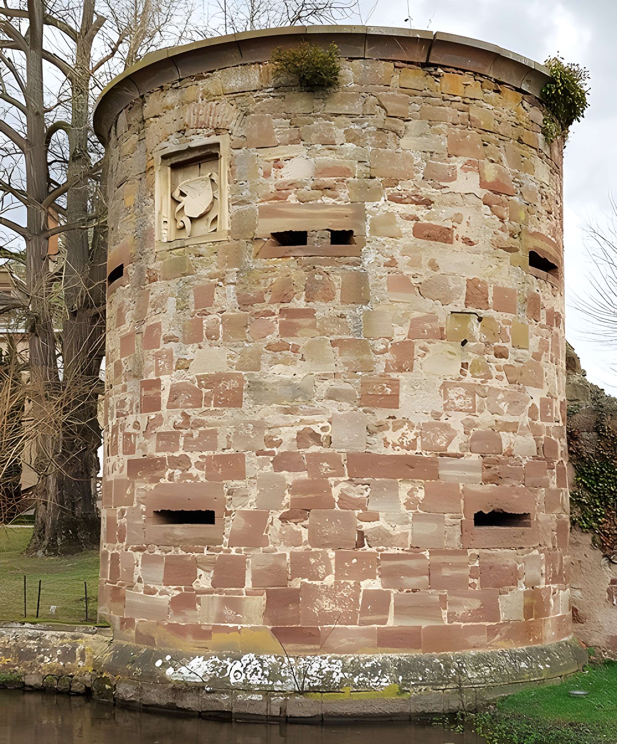 Remparts de Dachstein