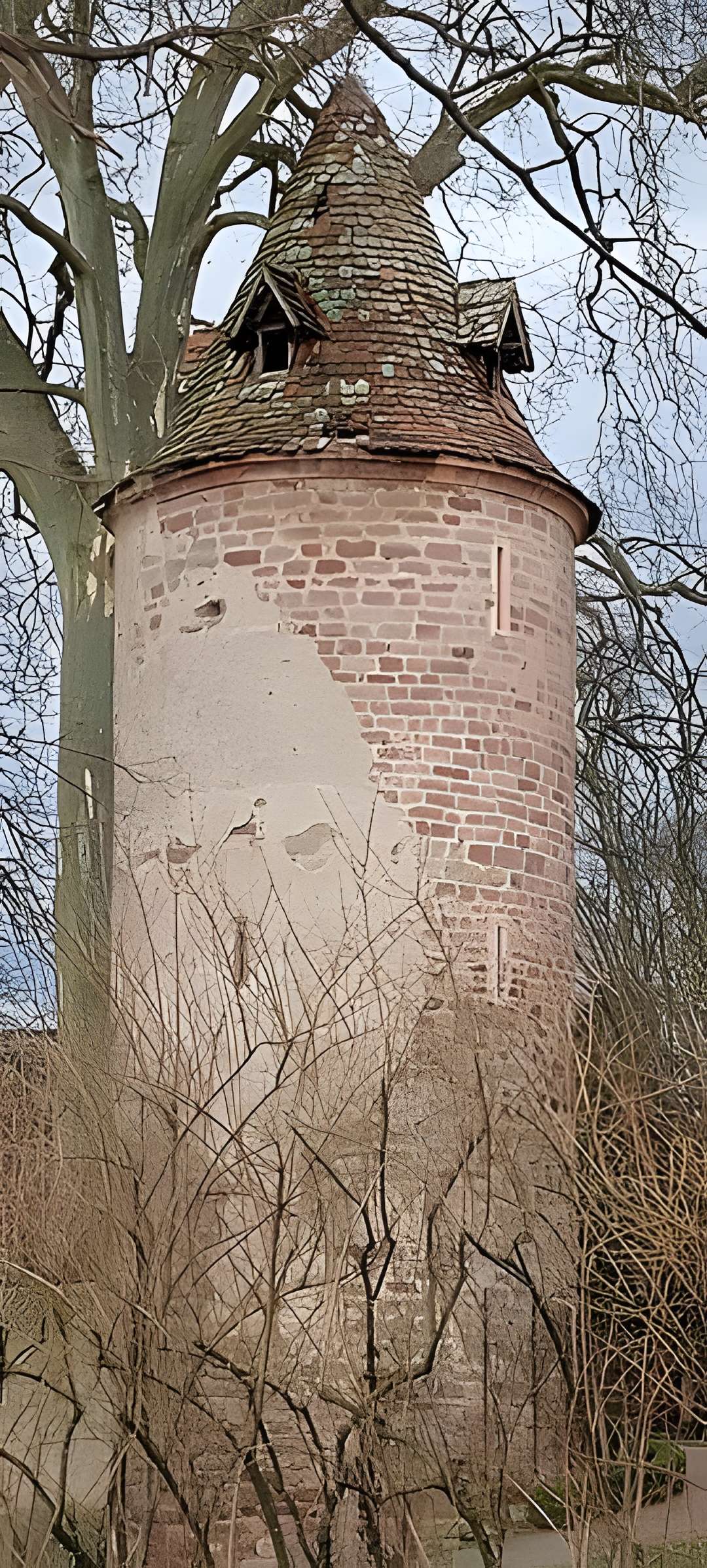 Remparts de Dachstein