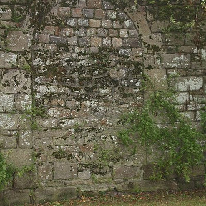Photo de Remparts de Guérande