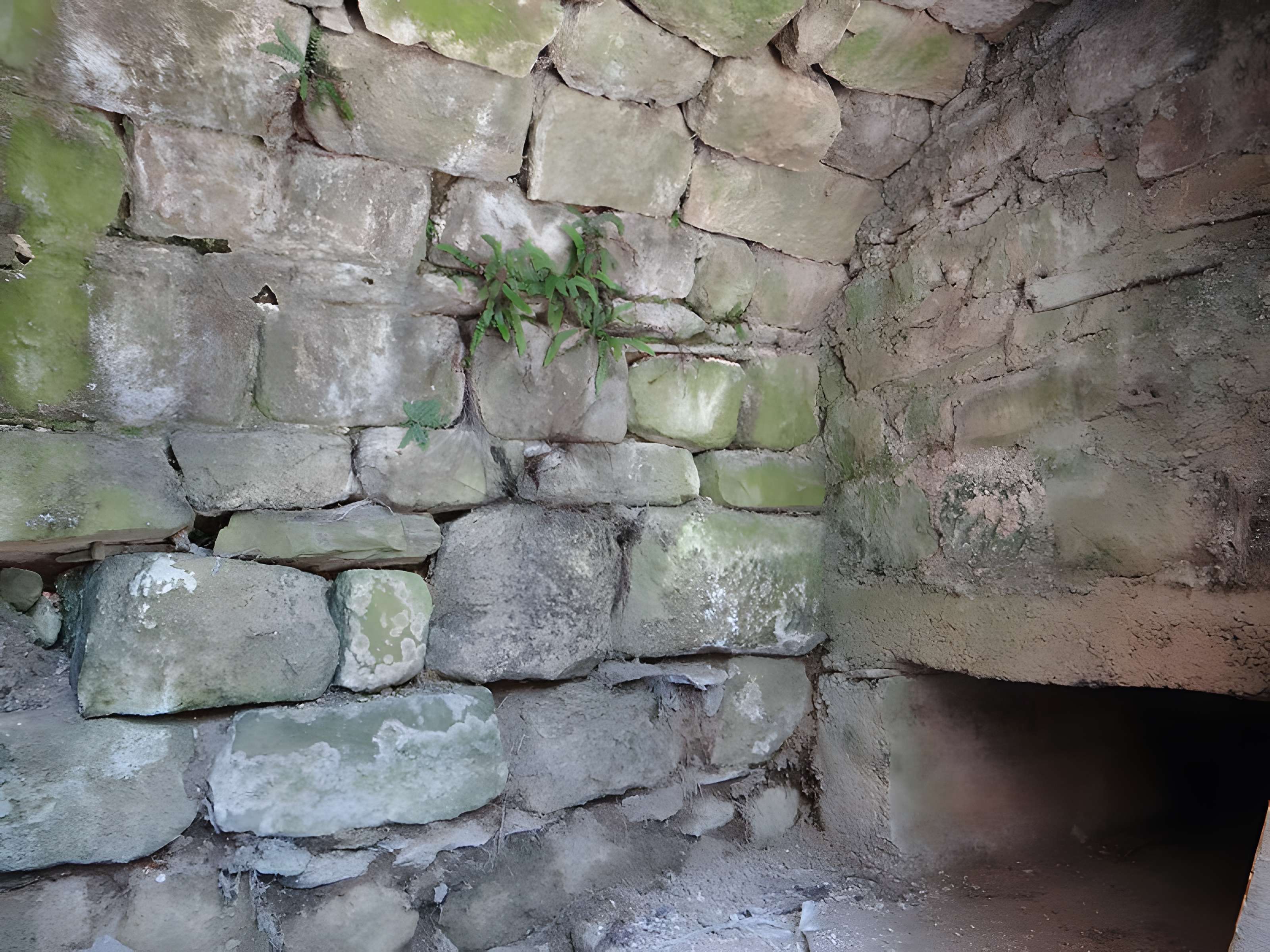 Réseau hydraulique médiéval de Castelnau-Pégayrols 