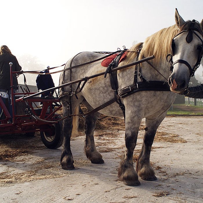 Photo de Haras national du Pin également sur communes de La Cochère, Ginai et Exmes