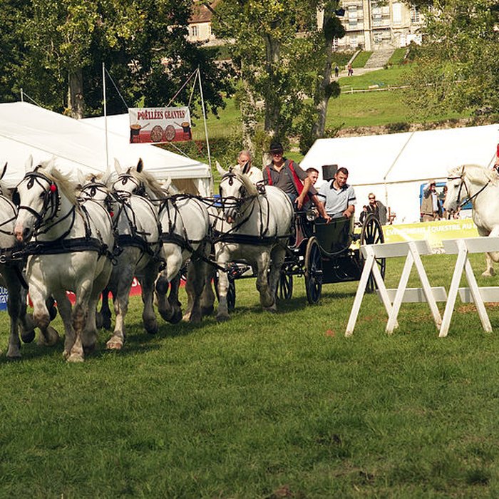 Photo de Haras national du Pin également sur communes de La Cochère, Ginai et Exmes