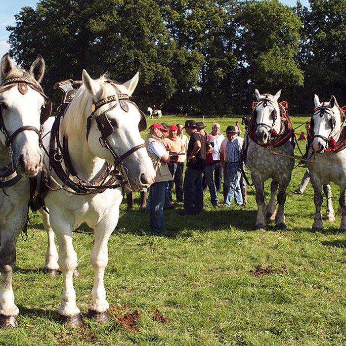 Photo de Haras national du Pin également sur communes de La Cochère, Ginai et Exmes