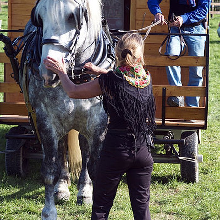 Photo de Haras national du Pin également sur communes de La Cochère, Ginai et Exmes