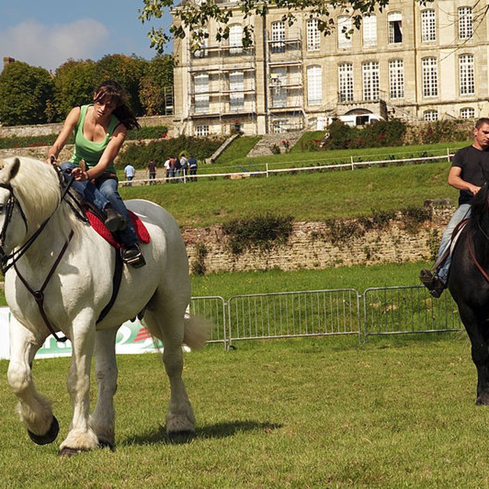 Photo de Haras national du Pin également sur communes de La Cochère, Ginai et Exmes