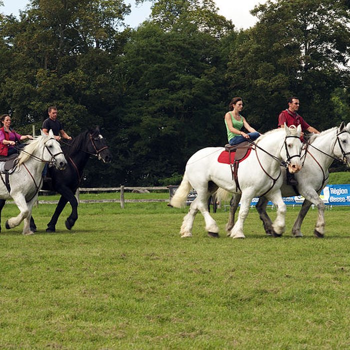 Photo de Haras national du Pin également sur communes de La Cochère, Ginai et Exmes