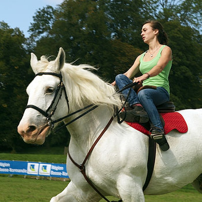 Photo de Haras national du Pin également sur communes de La Cochère, Ginai et Exmes