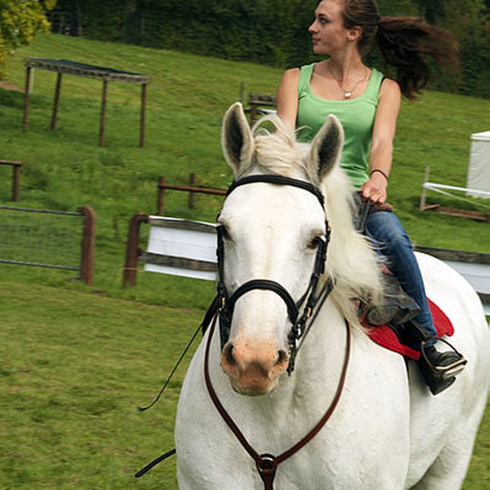 Photo de Haras national du Pin également sur communes de La Cochère, Ginai et Exmes