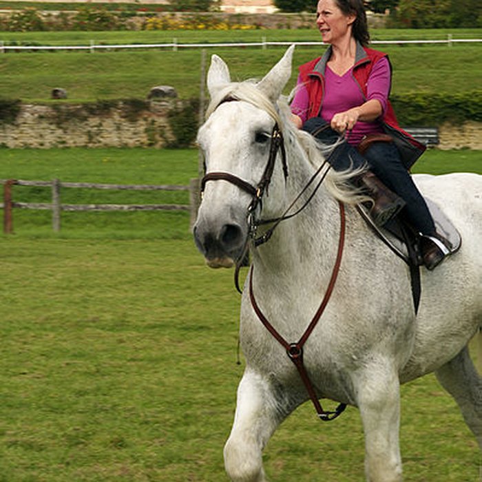 Photo de Haras national du Pin également sur communes de La Cochère, Ginai et Exmes