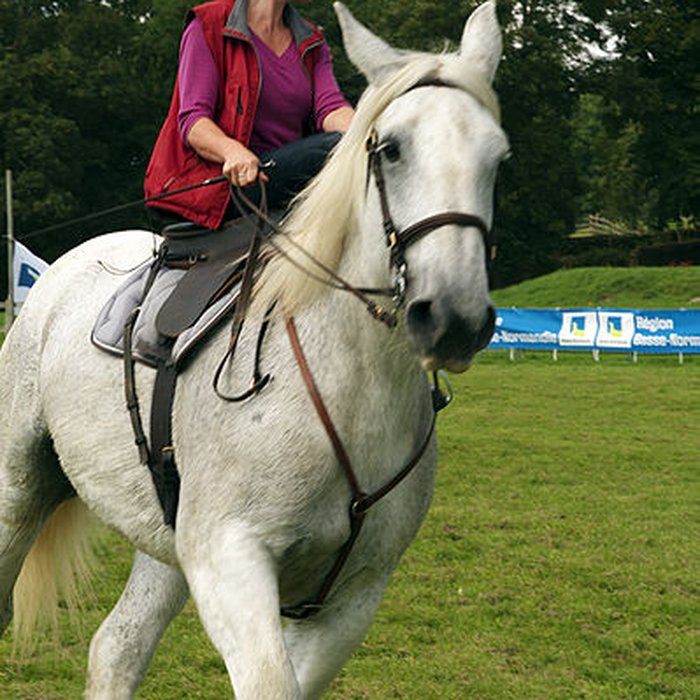 Photo de Haras national du Pin également sur communes de La Cochère, Ginai et Exmes