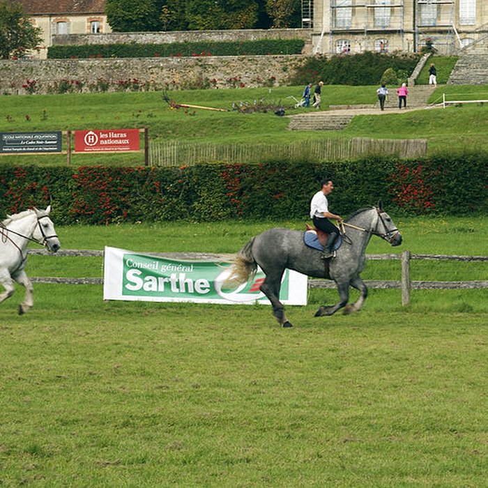 Photo de Haras national du Pin également sur communes de La Cochère, Ginai et Exmes