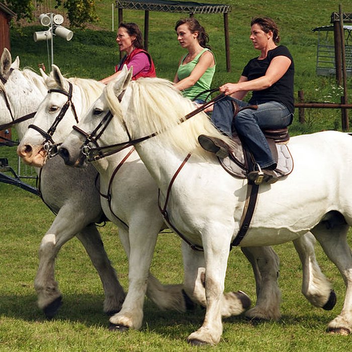 Photo de Haras national du Pin également sur communes de La Cochère, Ginai et Exmes